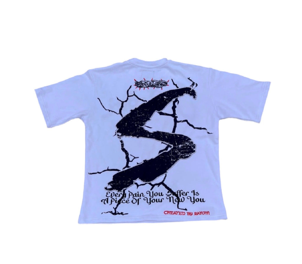 Satori Reach Enlightenment
Oversized T-shirt